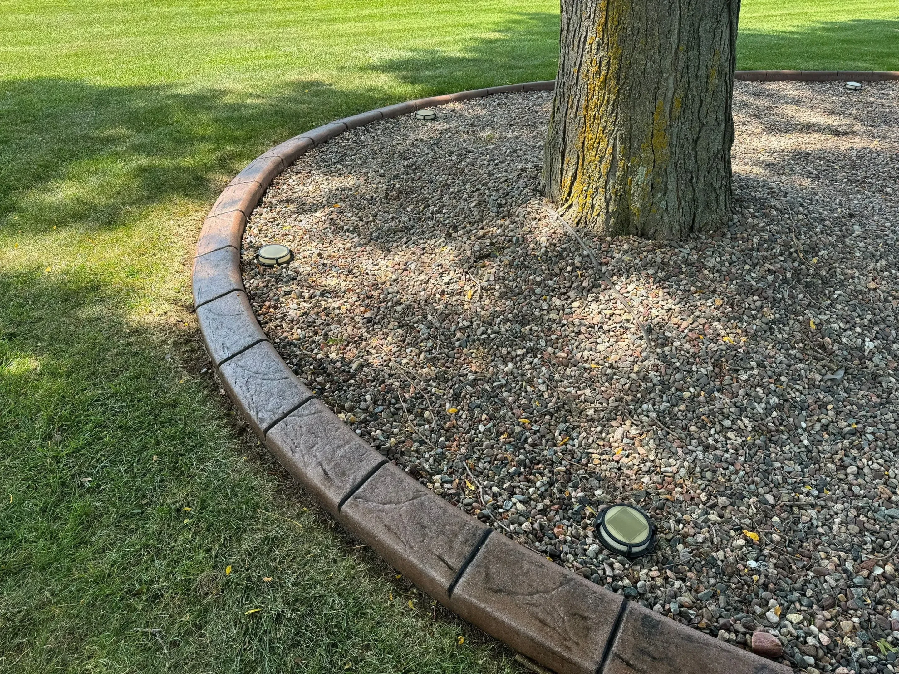 Charcoal gray tree ring curbing
